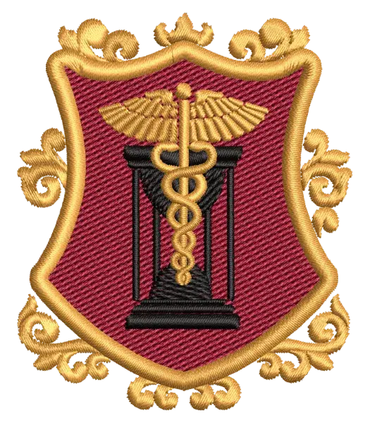 Matriz de Bordado Curso Historia